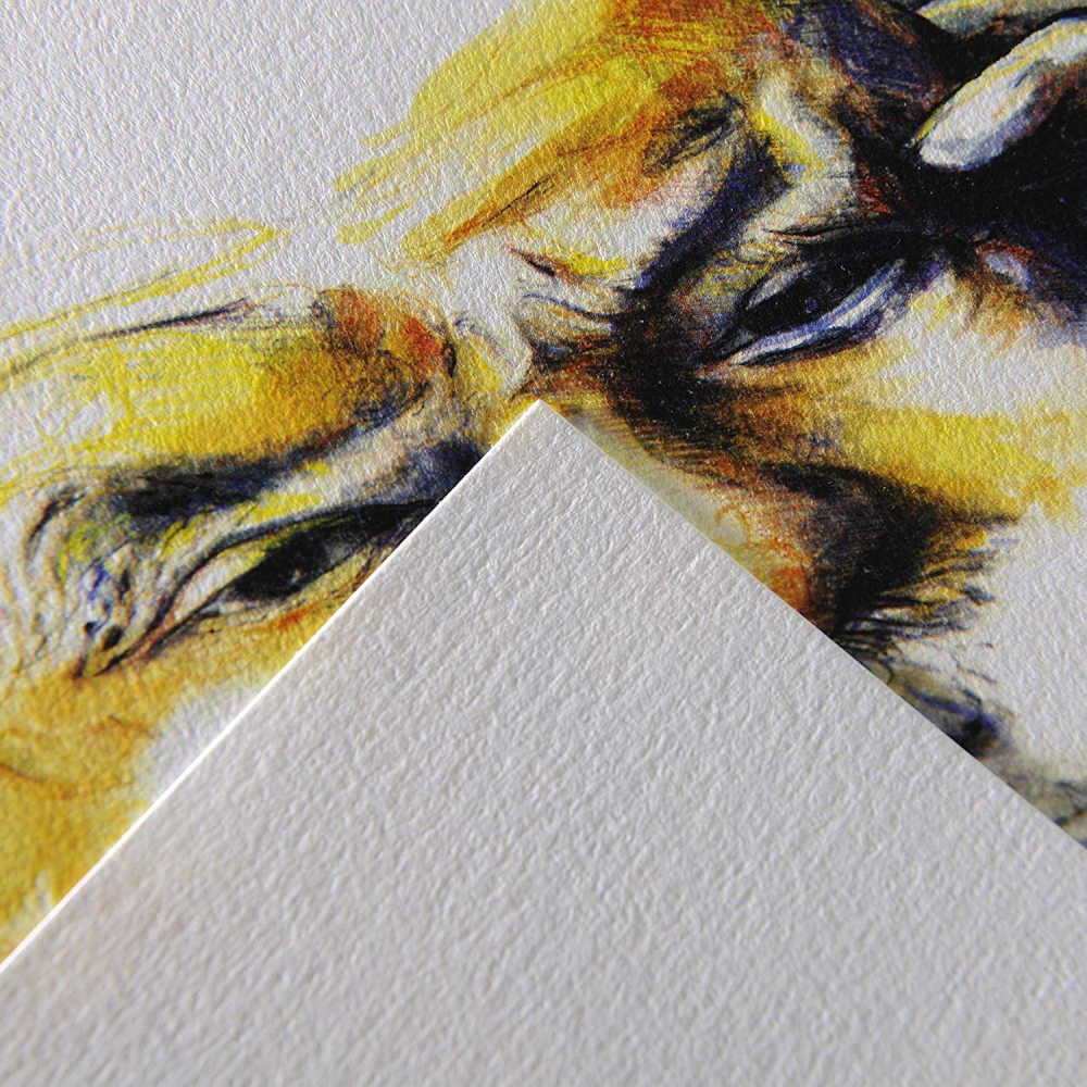 Canson "C" à Grain Drawing Paper A2 Sheets