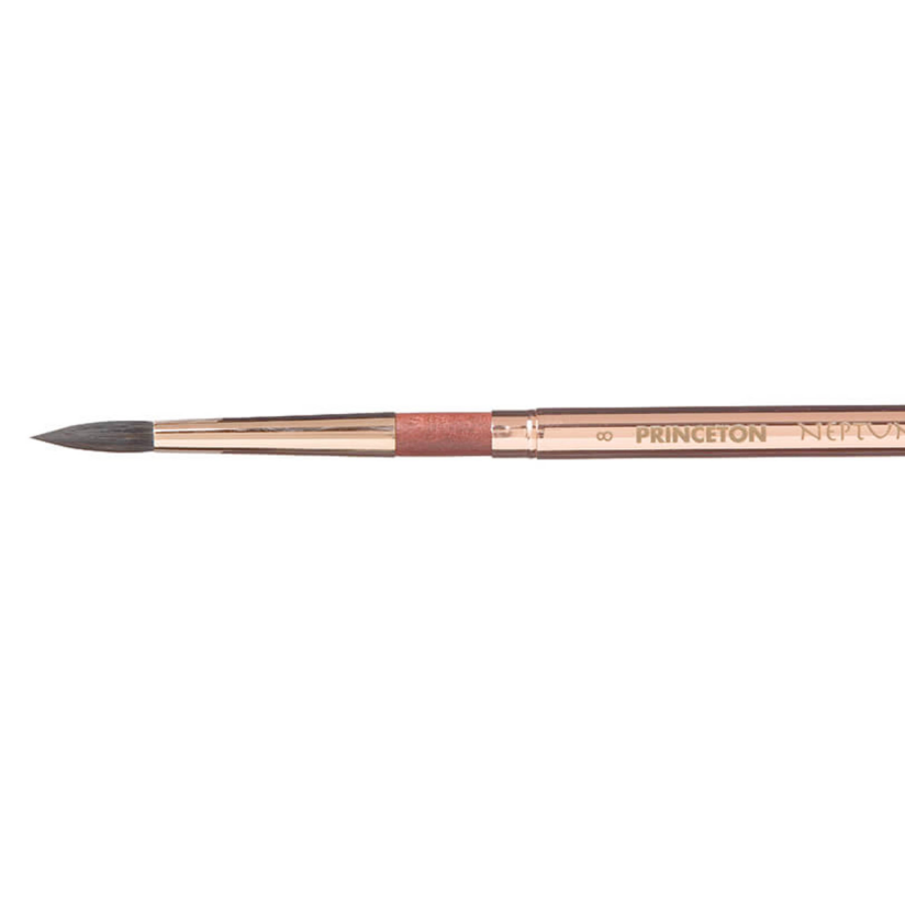 Princeton Neptune 4750 Travel Brushes