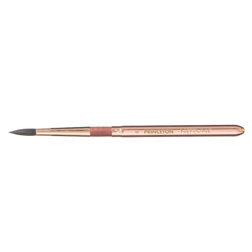 Princeton Neptune 4750 Travel Brushes
