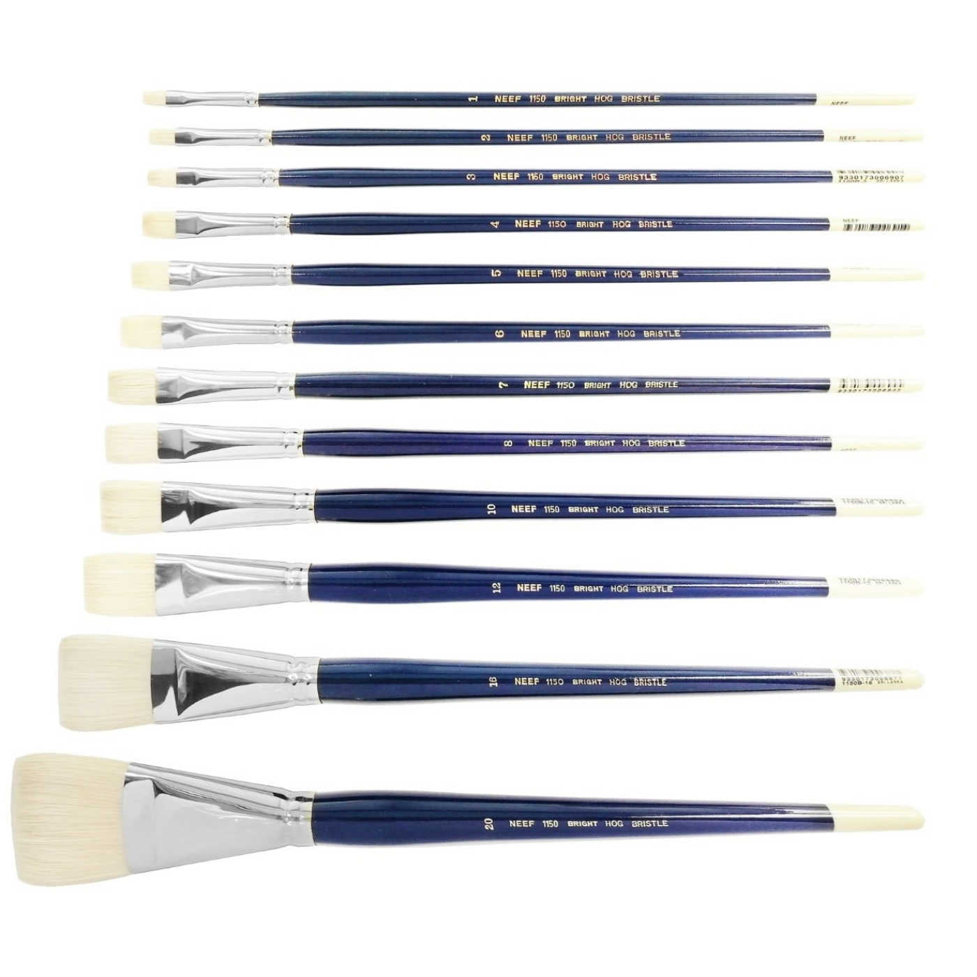 Neef 1150 Bristle Brushes -Bright 