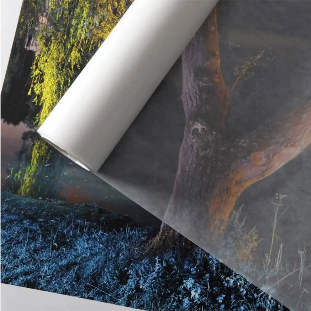 Canson Glassine Tissue Interleaf Roll 