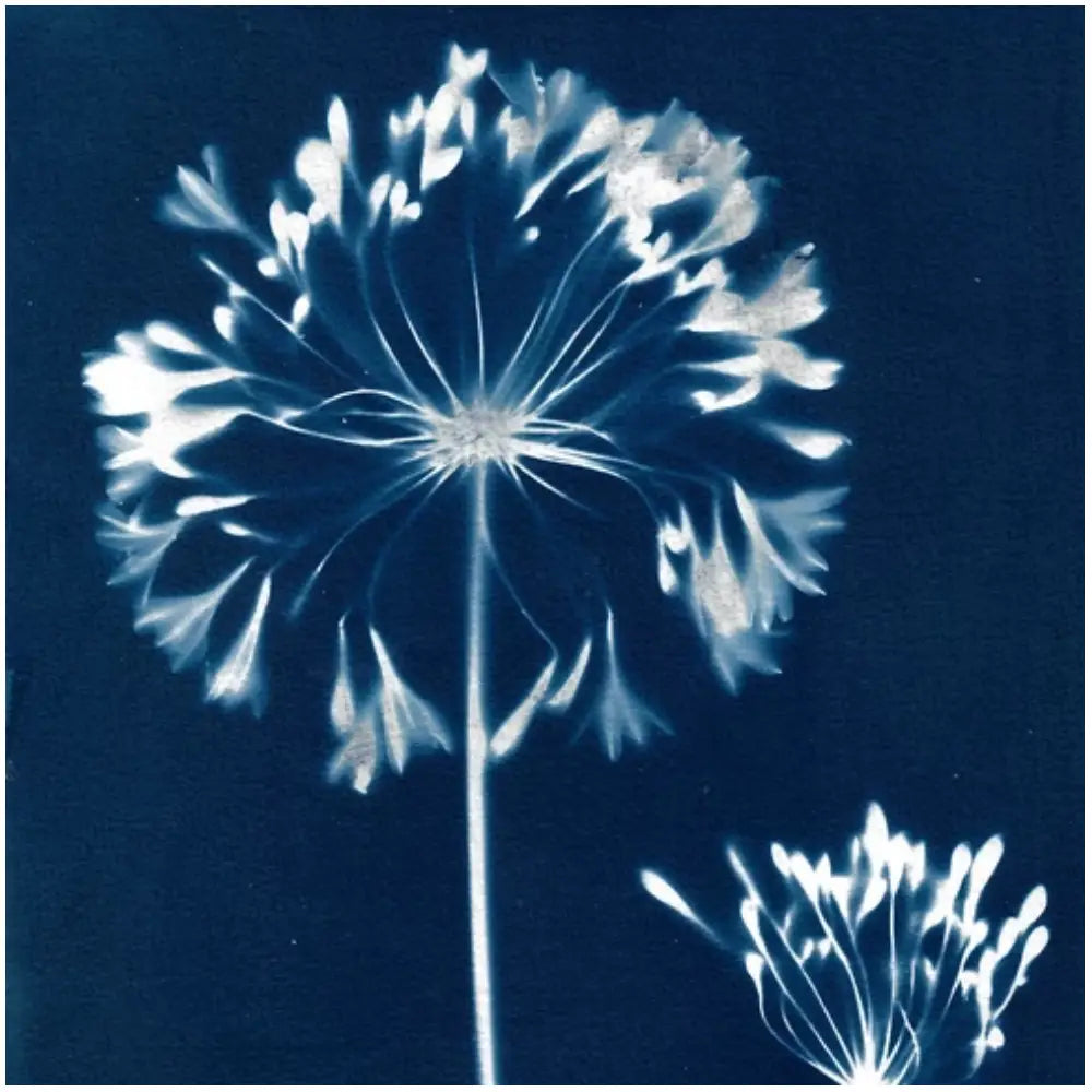 Jacquard Cyanotype Fabric Sheets 