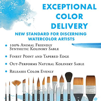 Princeton Aqua Elite Essential Watercolour Set