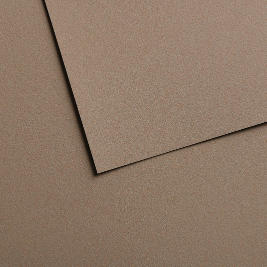 Canson Mi-Teintes Velvet Paper Sheets - Grey Brown 613