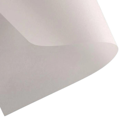 Canson Barrier paper Roll