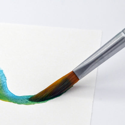 Princeton Aqua Elite 4850 Prism Brushes