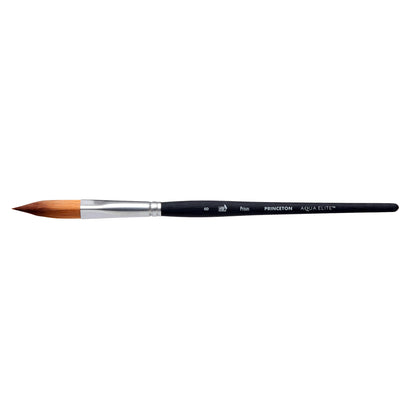 Princeton Aqua Elite 4850 Prism Brushes
