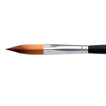 Princeton Aqua Elite 4850 Prism Brushes