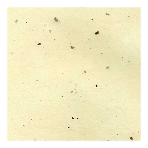 Picture of Chiri Rice Paper Cream/Speckle