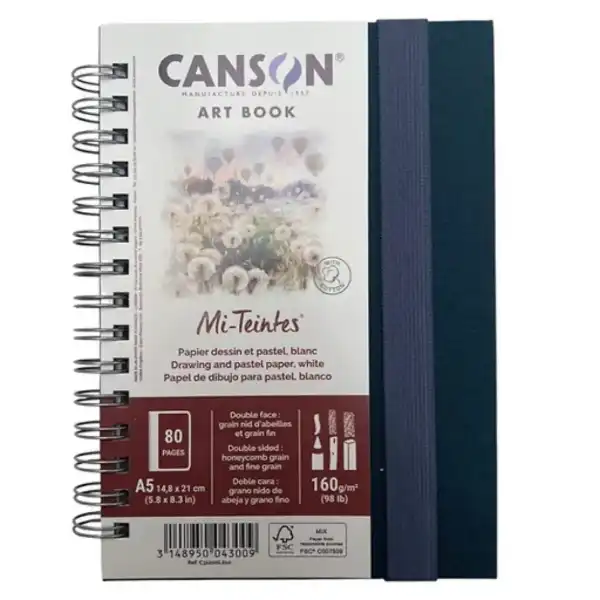 Picture of Canson Mi-Teintes Art Book A5 