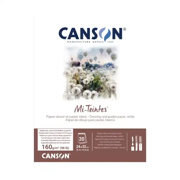 Picture of Canson Mi-Teintes Paper Pad White