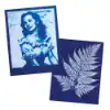 Picture of Jacquard Cyanotype Set 