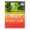 Picture of Grafix Dura-Lar  Wet Media Sheets