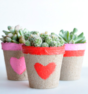 Valentine's Day crafts - succulent valentines